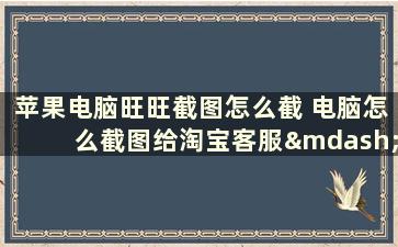 苹果电脑旺旺截图怎么截 电脑怎么截图给淘宝客服——旺旺截图